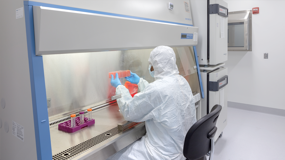 researcher in clean room